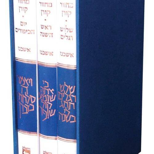שלשת הרגלים השכנז