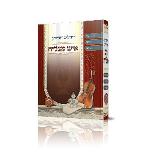 תהלים המדוייק איש מצליח - גודל בינוני